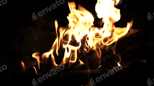 Preview: Burning wood in the fire. Camp fire in the night. Fire flames. Forest fire close up