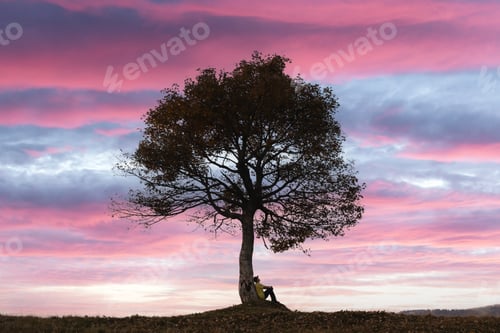 Preview: Silhouette of tourist sitting under majestic tree