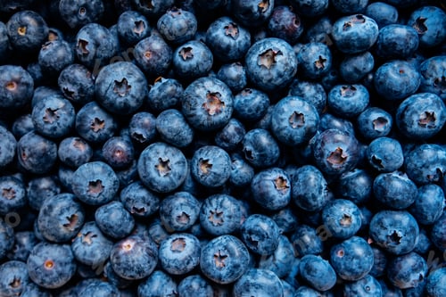 Preview: Freshly picked great bilberries.