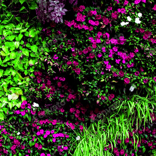 Preview: Flowers and greenery background Minimal art design idea