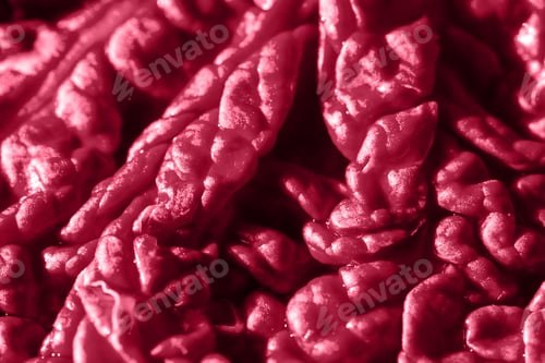 Preview: Viva magenta abstract natural background.