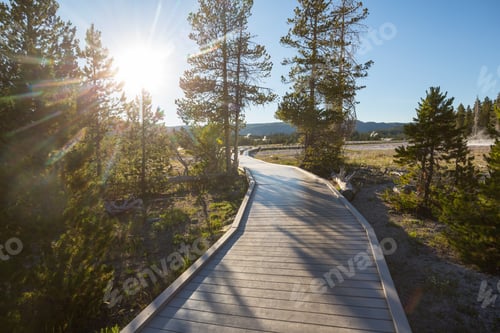 Preview: Boardwalk in Yellowstone