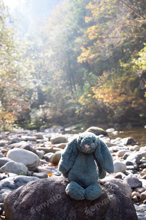 Preview: Stuffed rabbit in autumn