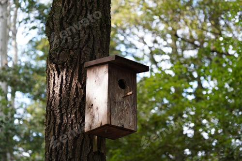 Preview: Closeup shot of a wooden birdhouse on tree trunk