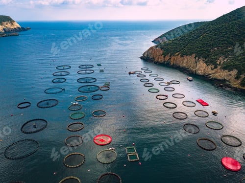 Preview: Salmon fish farm with floating cages. Aerial view