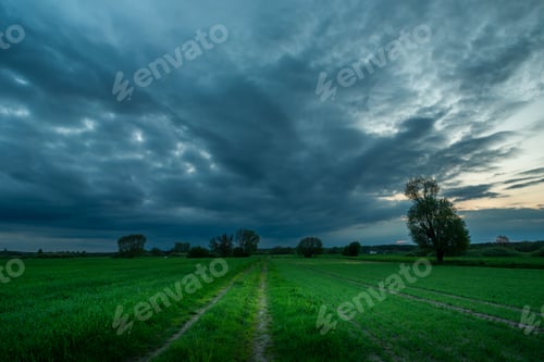 Preview: Dirt road through green fields and rainy clouds