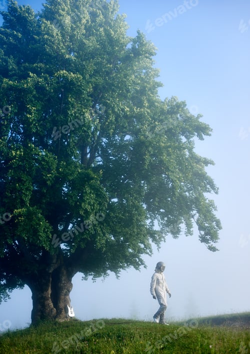Preview: Spaceman and an old big tree on a green foggy meadow
