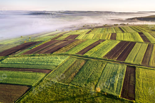 Preview: Agricultural landscape from air on sunny spring dawn. Green and brown fields, morning fog.