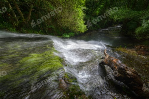 Preview: Green spring tones in a waterfall