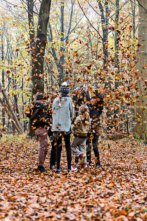 Preview: Girls playing with leaves in autumn forest