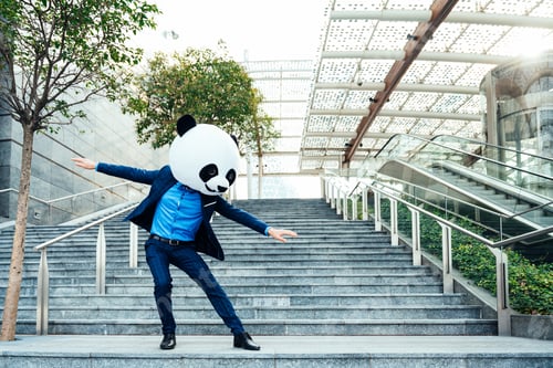 Preview: Storytelling image of a business man wearing a giant panda head
