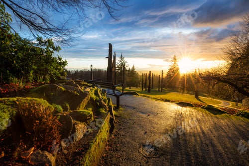 Preview: Park in Burnaby Mountain, Nature Background