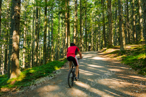 Preview: The cyclist rides along a forest road