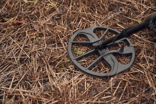 Preview: Metal detector is on the ground of the autumn field, close up view