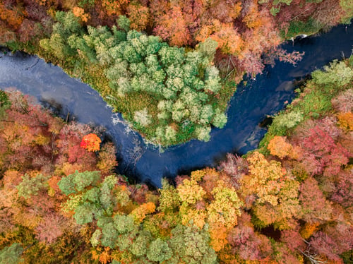 Preview: Top down view of forest and river in fall.