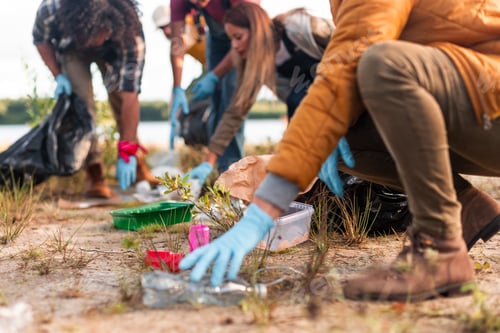 Preview: group of volunteer workers eco activists collecting garbage in a national park