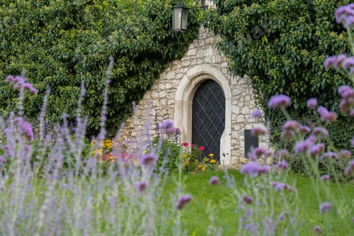 Vista previa: Wine cellar built from stones with violet flowers on foreground in Wawel Castle Krakow, Poland