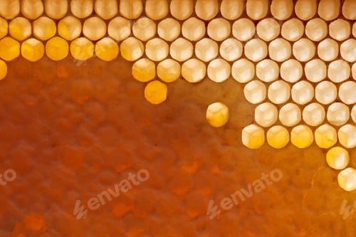 Preview: Fresh organic honey in wax comb. Macro photo of organic product. Flat lay