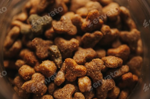 Preview: Closeup shot of brown dry cat food in the glass container as a background