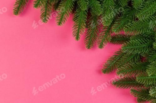 Preview: Top view of colorful background made of green fir tree branches. New year holiday