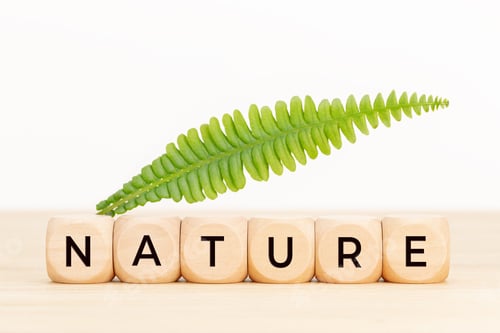 Preview: Nature concept
