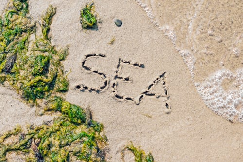 Preview: Word Sea handwritten on a sandy beach with white wave and green sea weeds