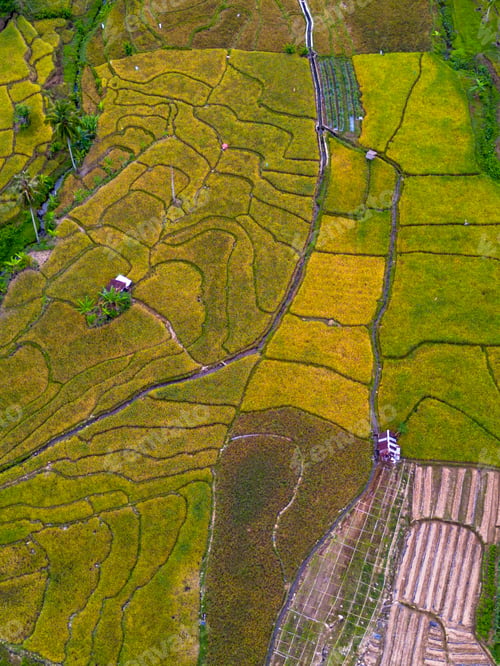 Preview: beautiful morning view from Indonesia