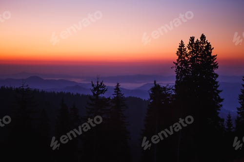 Preview: The silhouette of a fir tree against the background of a mountain valley and the orange