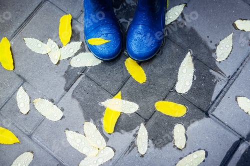 Preview: Feet in blue rubber boots standing in a wet concrete paving