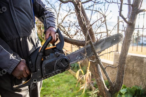 Preview: Portrait of a chainsaw used by a black woodcutter to cut a branch