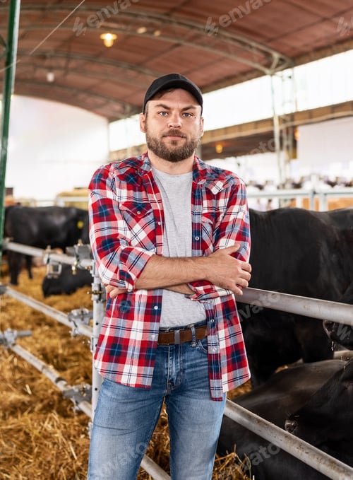 Preview: Portrait of American rancher at beef farm.