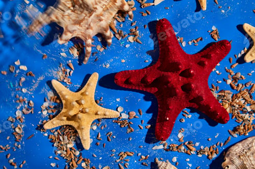 Preview: Flat lay background with starfish, seashells on blue water texture with sunlight