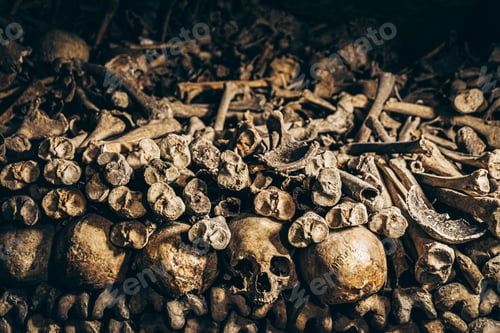 Preview: Pile of a weathered old pile of human bones and skull pieces on a ground