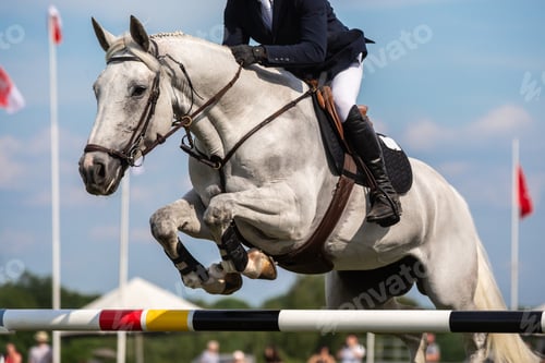 Preview: Horse Jumping, Equestrian Sports, Show Jumping themed photo.