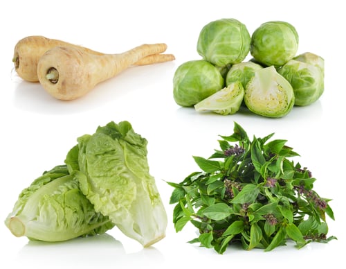Preview: parsnip roots, baby cos, Brussel Sprouts, Sweet Basil on white b