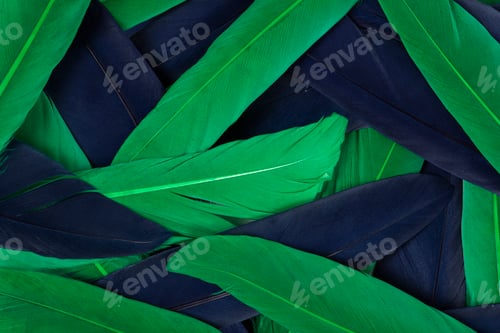 Preview: Feathers texture