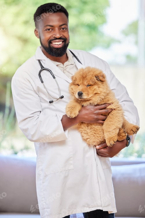 Preview: Isnt she just cute. Shot of an unrecognizable vet examining a dog in their office.