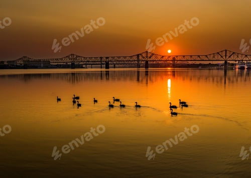 Preview: Silhouette of a group of river birds on the Ohio River with a bridge and sunrise in the background