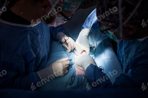 Preview: surgery room of the veterinary clinic