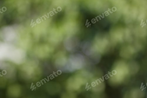 Preview: Abstract Background Of Green Leaves For Designer