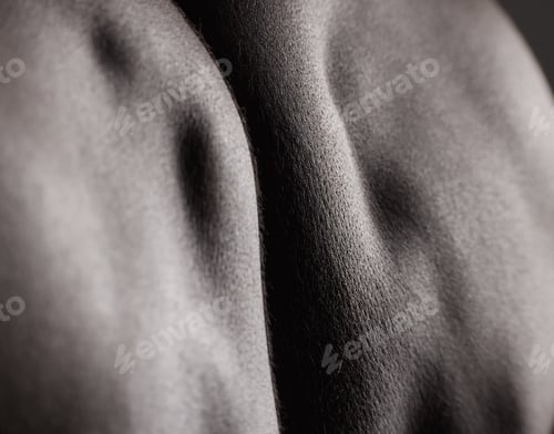 Preview: Back, closeup and skincare of man with muscle and cosmetics, health and model with glow from dermat
