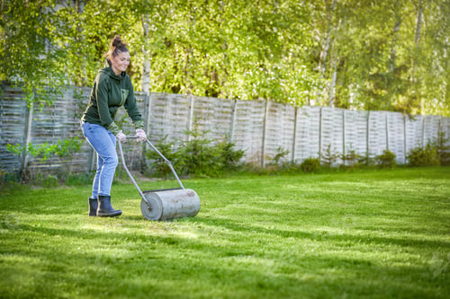 Preview: Woman working with lawn roller in the garden