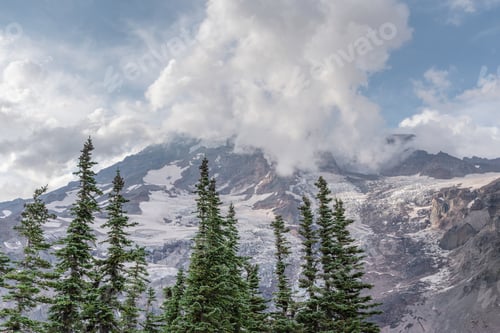 Preview: Cloudy mountains pine trees peak glaciers on mount Rainier
