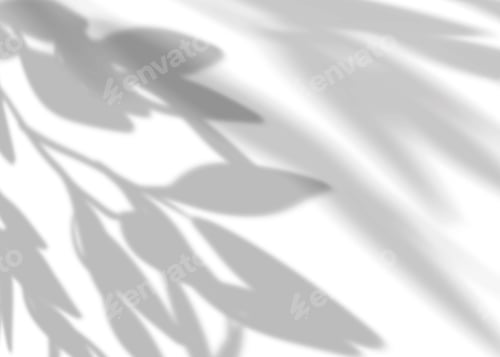 Preview: Leaves shadow overlay on white background,Natural branches leaves overlay