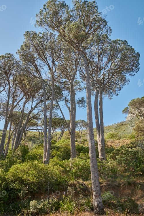 Preview: Table Mountain and surroundings