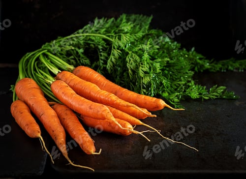 Preview: Bunch of fresh carrots with green leaves on dark background.