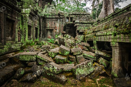 Preview: Ancient ruins of Ta Prohm temple, Angkor, Cambodia