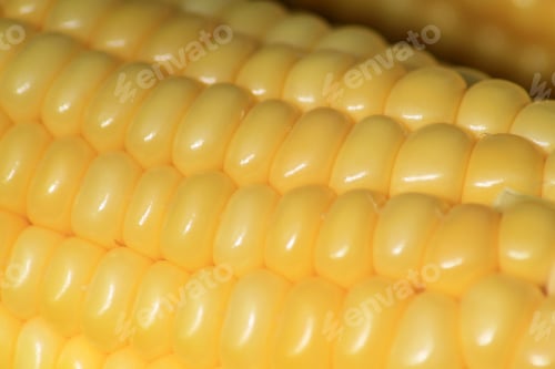 Preview: Corn