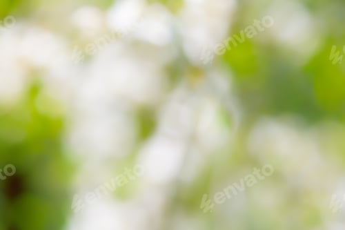 Preview: Blured photo of young bush branches fresh green leaves