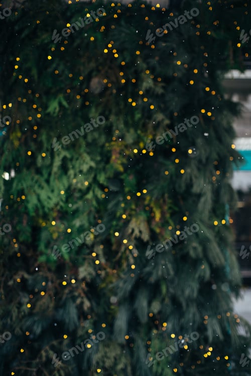 Preview: Christmas background, pine branches with garland lights.